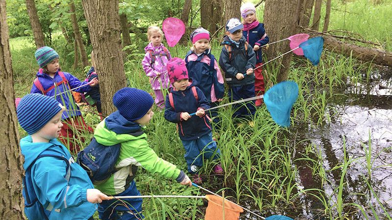 Die Kinder im Wald beim keschern